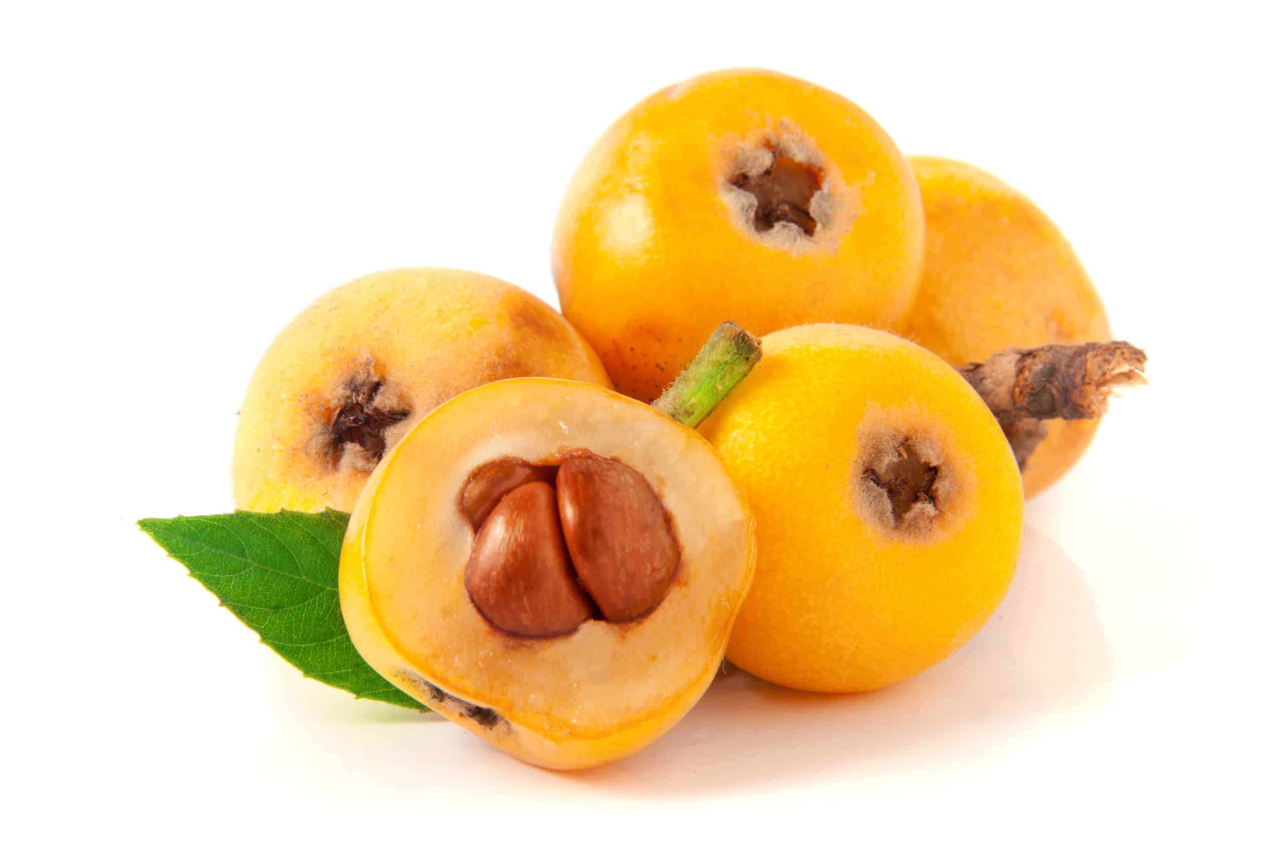Loquat vs Albicocca: quali sono le differenze?
