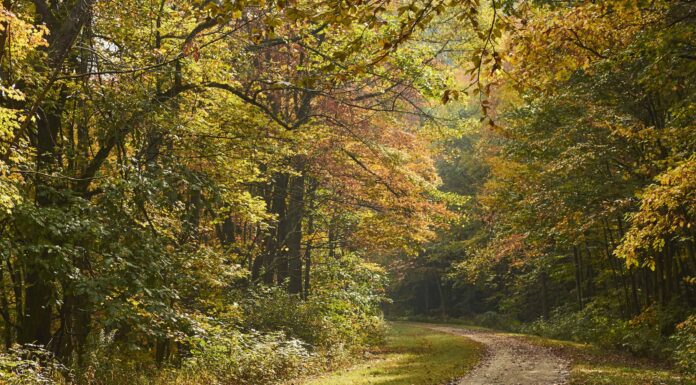 La pista ciclabile più lunga della Pennsylvania
