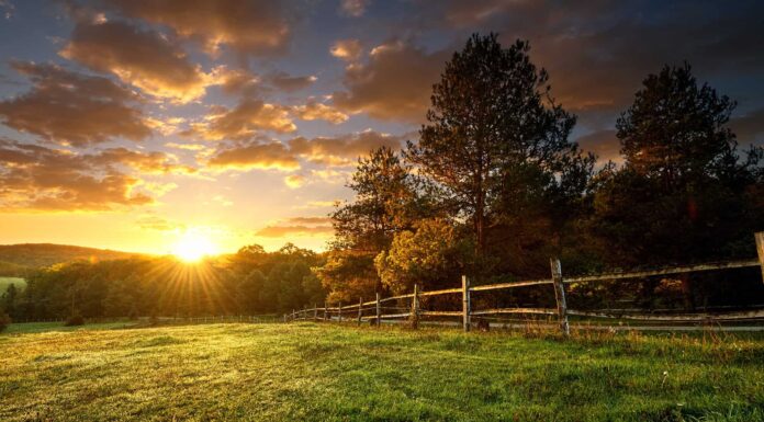Incontra i più grandi proprietari terrieri in Georgia
