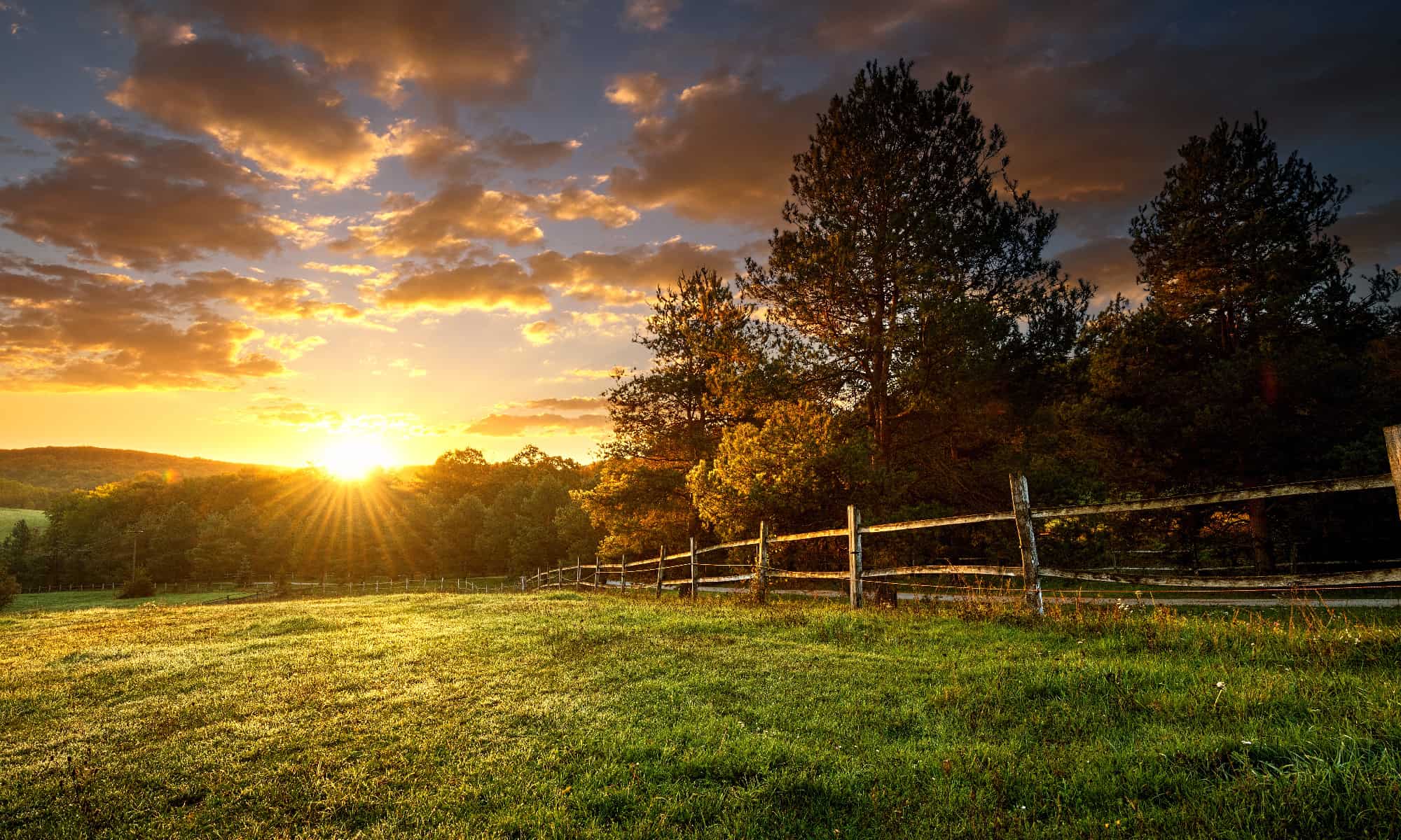 Incontra i più grandi proprietari terrieri in Georgia