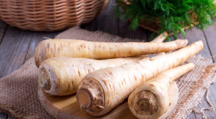 Carota vs pastinaca: quali sono le loro differenze?
