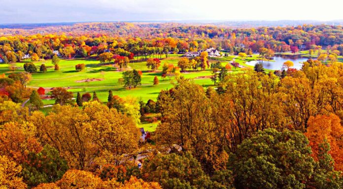  Ultima possibilità!  7 splendidi spot di fogliame autunnale nel New Jersey in questo momento
