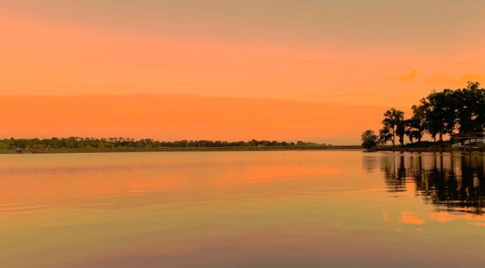 Quanto è profondo il lago Livingston in Texas?
