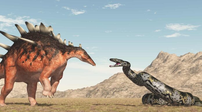 Scopri 5 affascinanti serpenti estinti!
