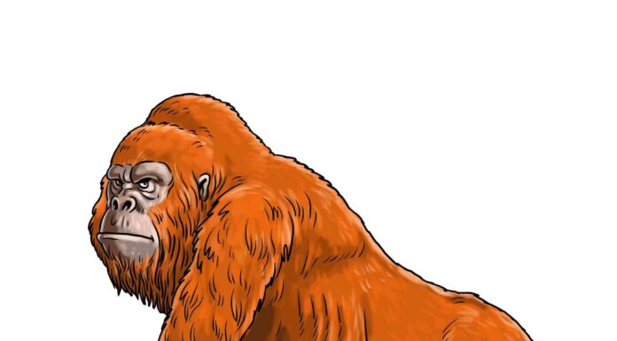 Prehistoric primate, Gigantopithecus