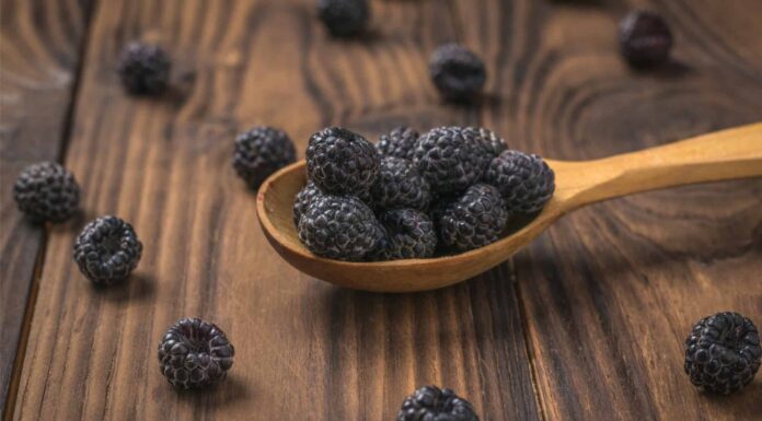 Black Raspberry vs Blackberry
