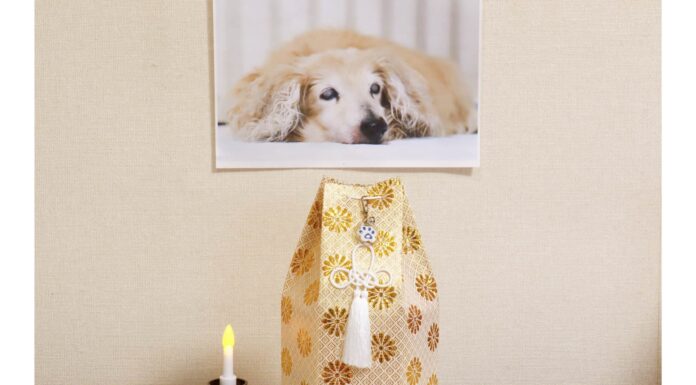 Morte di un animale domestico: come affrontarla
