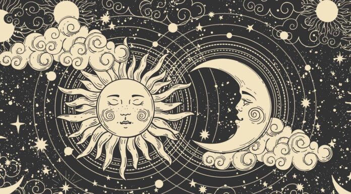 Animali dello zodiaco per segno zodiacale
