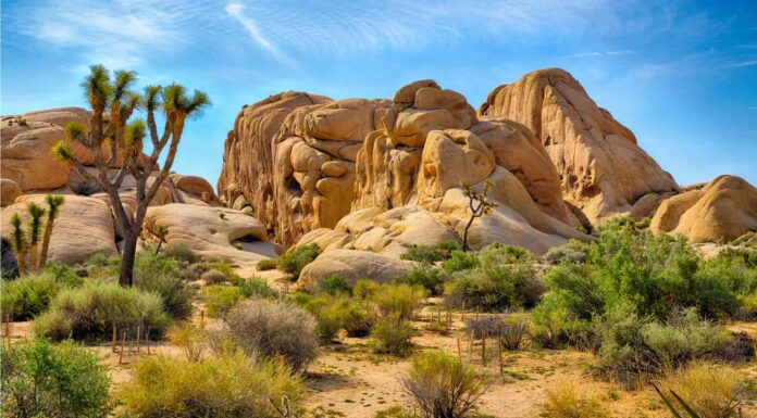 I 5 migliori campeggi in assoluto vicino a San Diego
