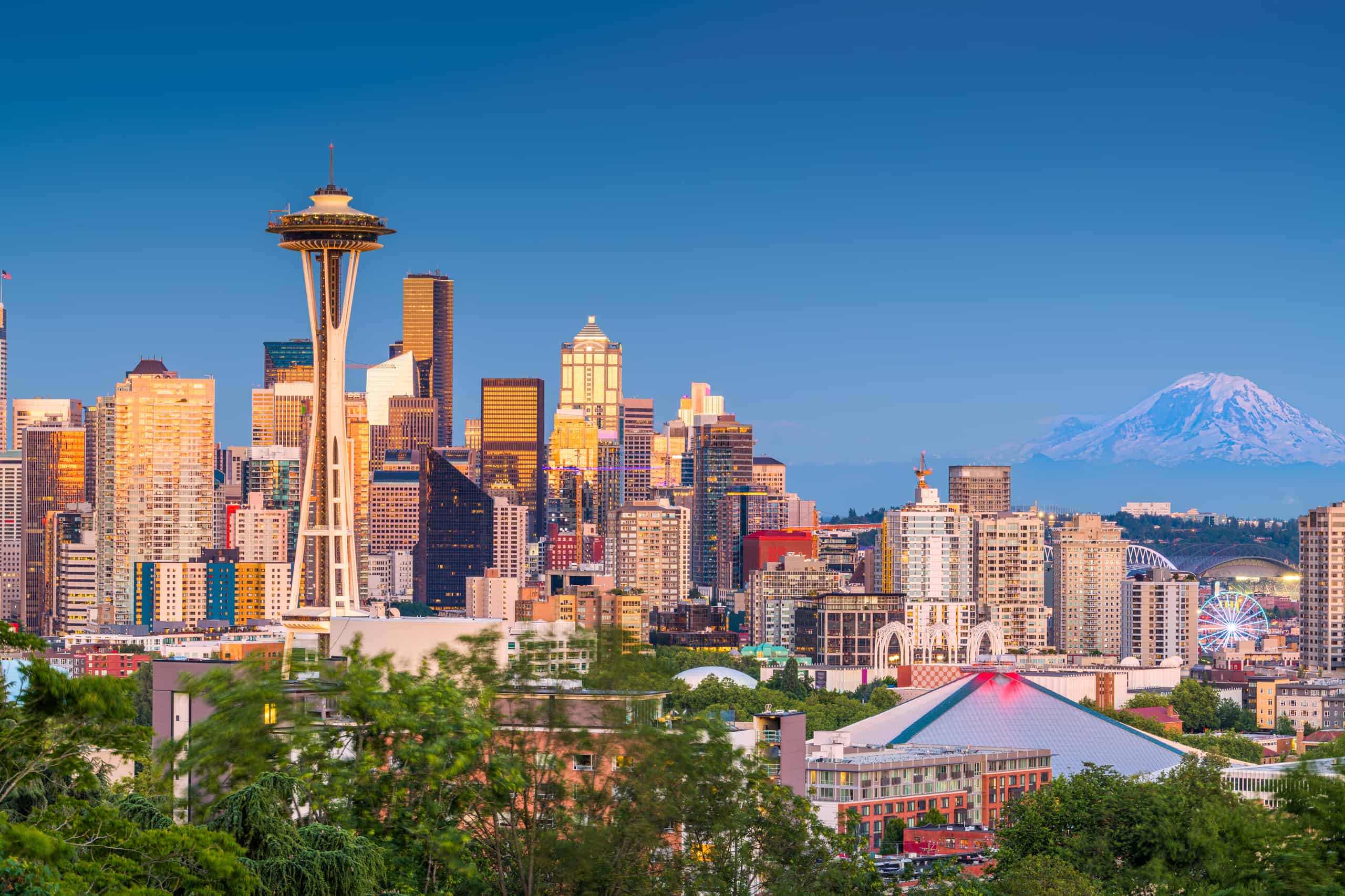 I 9 migliori parchi per cani a Seattle