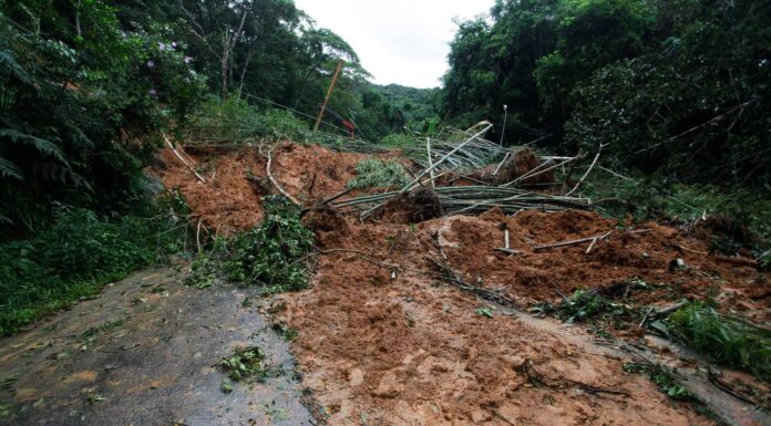 La colata di fango più devastante a Washington
