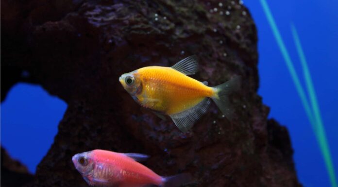 A The 8 Best Children&rsquo;s Books About Sharks Available Today