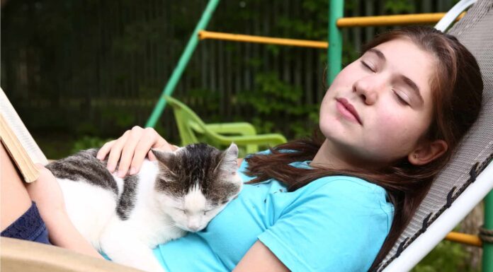 Perché i gatti dormono su di te?
