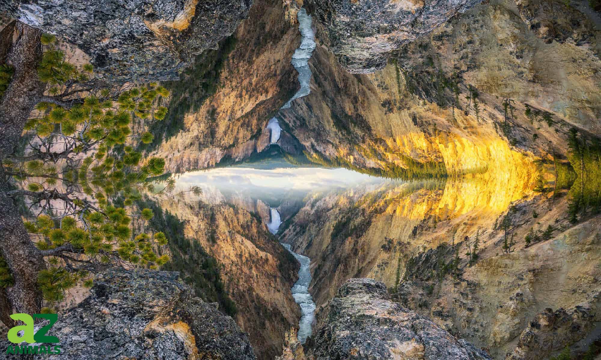 Perché i fiumi scorrono verso sud?  (Scopri 5 fiumi che infrangono la "regola")