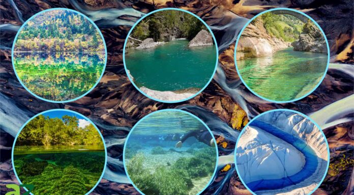 Scopri 6 dei fiumi più limpidi del mondo
