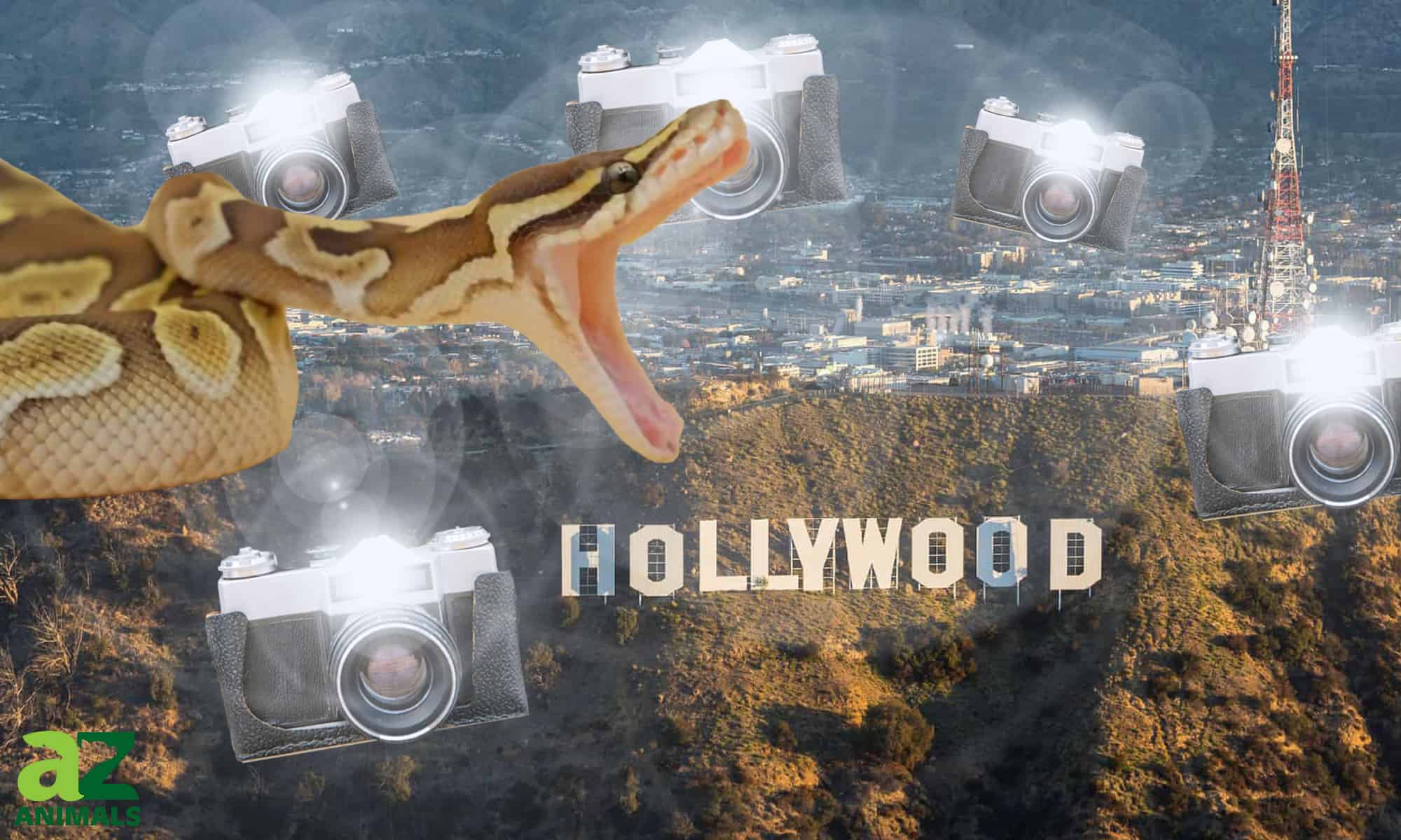 Scopri i 10 serpenti più popolari al mondo