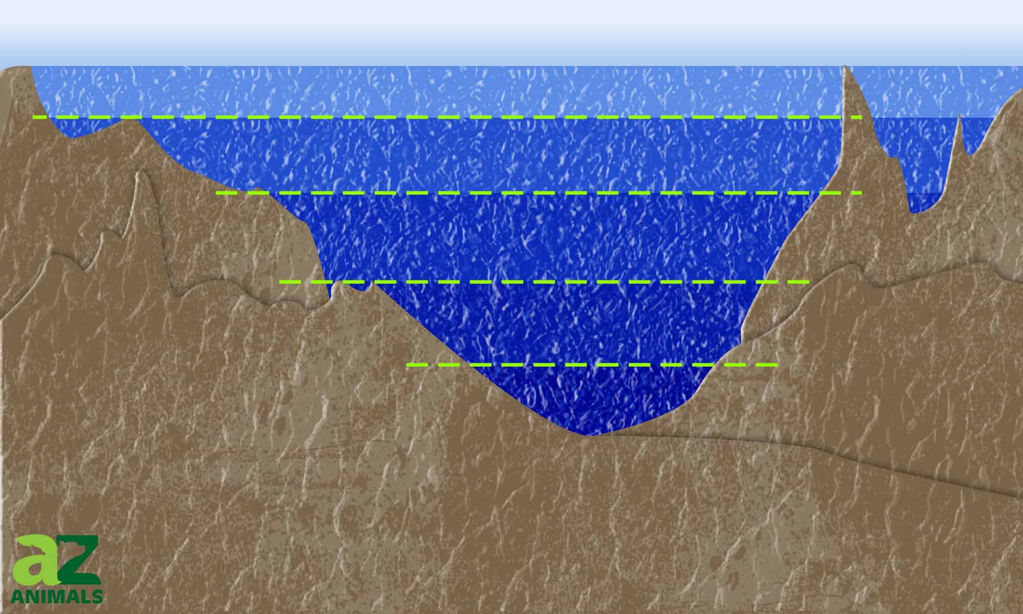 I 10 laghi artificiali più grandi degli Stati Uniti