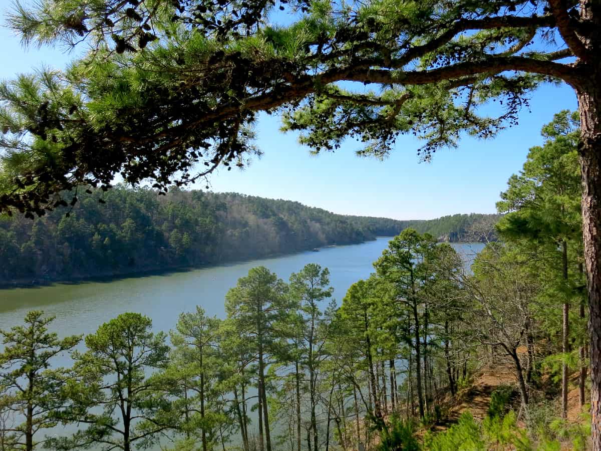 10 laghi assolutamente incredibili in Arkansas (uno è un luogo leggendario per la pesca alla spigola!)