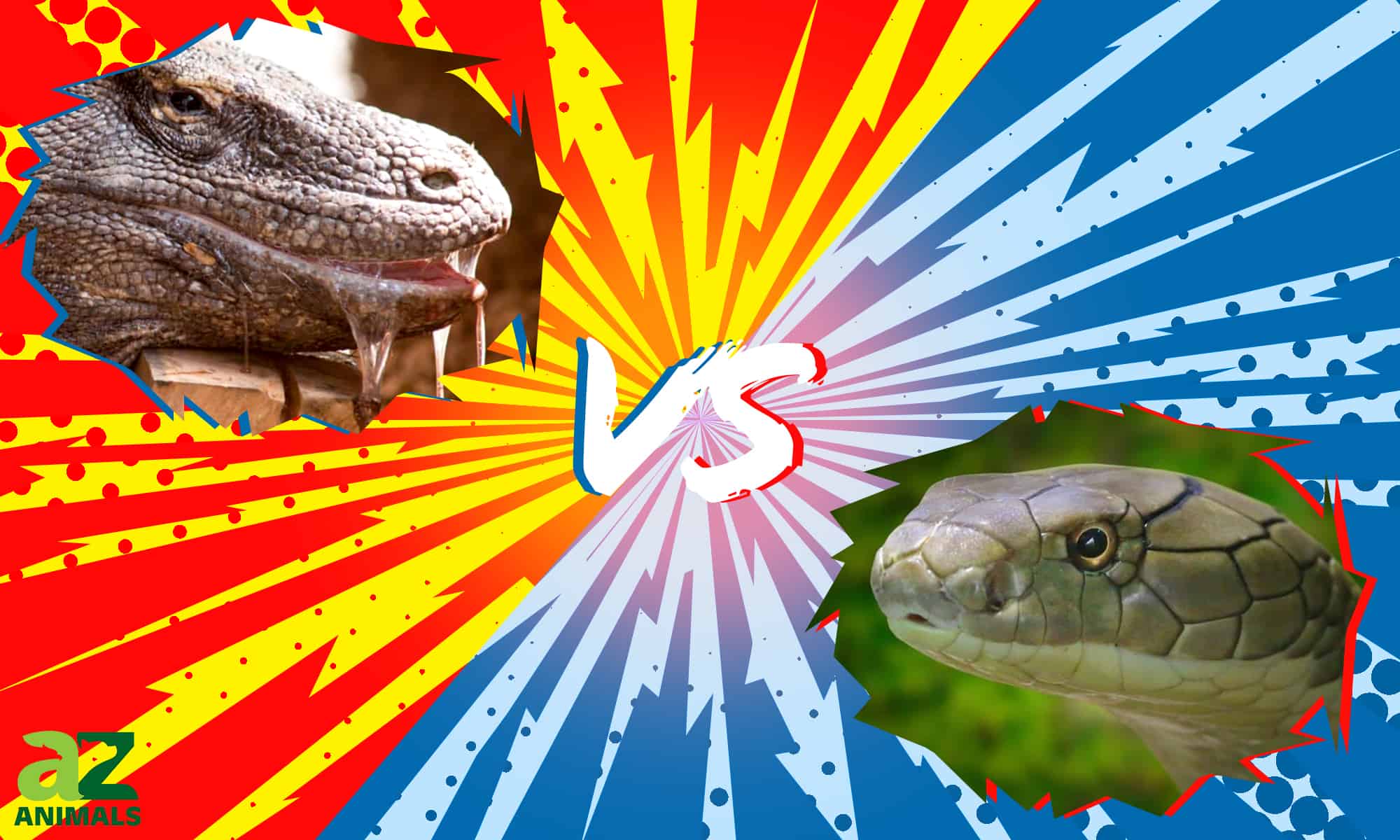 Komodo Dragon vs King Cobra: chi vincerebbe in un combattimento?
