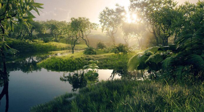 Le 10 foreste pluviali più grandi del mondo
