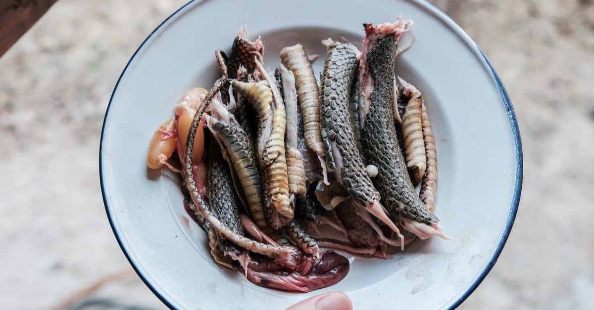 Che sapore ha la carne di serpente?