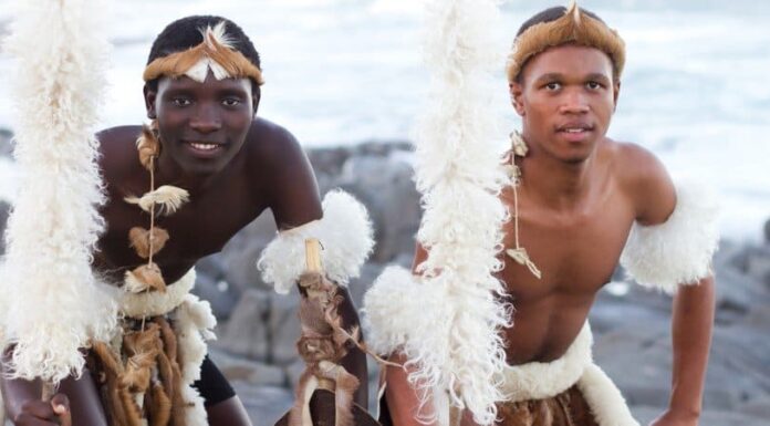 Gli esseri umani sono mammiferi?
