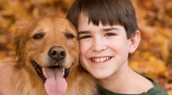 25 fatti sui cani per bambini
