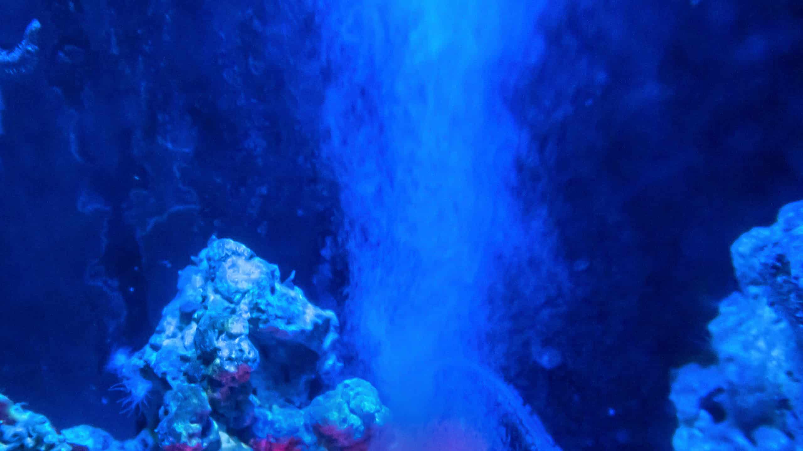 I 2 più grandi vulcani sottomarini sulla Terra (e se sono pronti a esplodere)