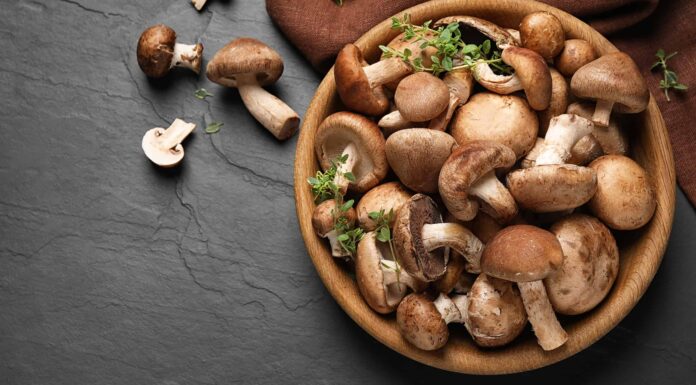 I 3 migliori tipi di funghi da coltivare in casa
