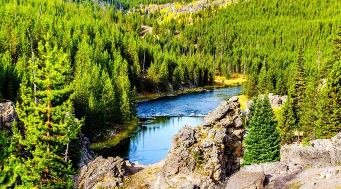 Le migliori buche per nuotare nel Wyoming
