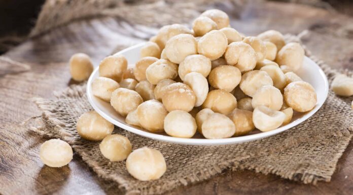 I cani possono mangiare le noci di macadamia?
