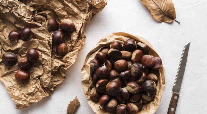 I cani possono mangiare le castagne?

