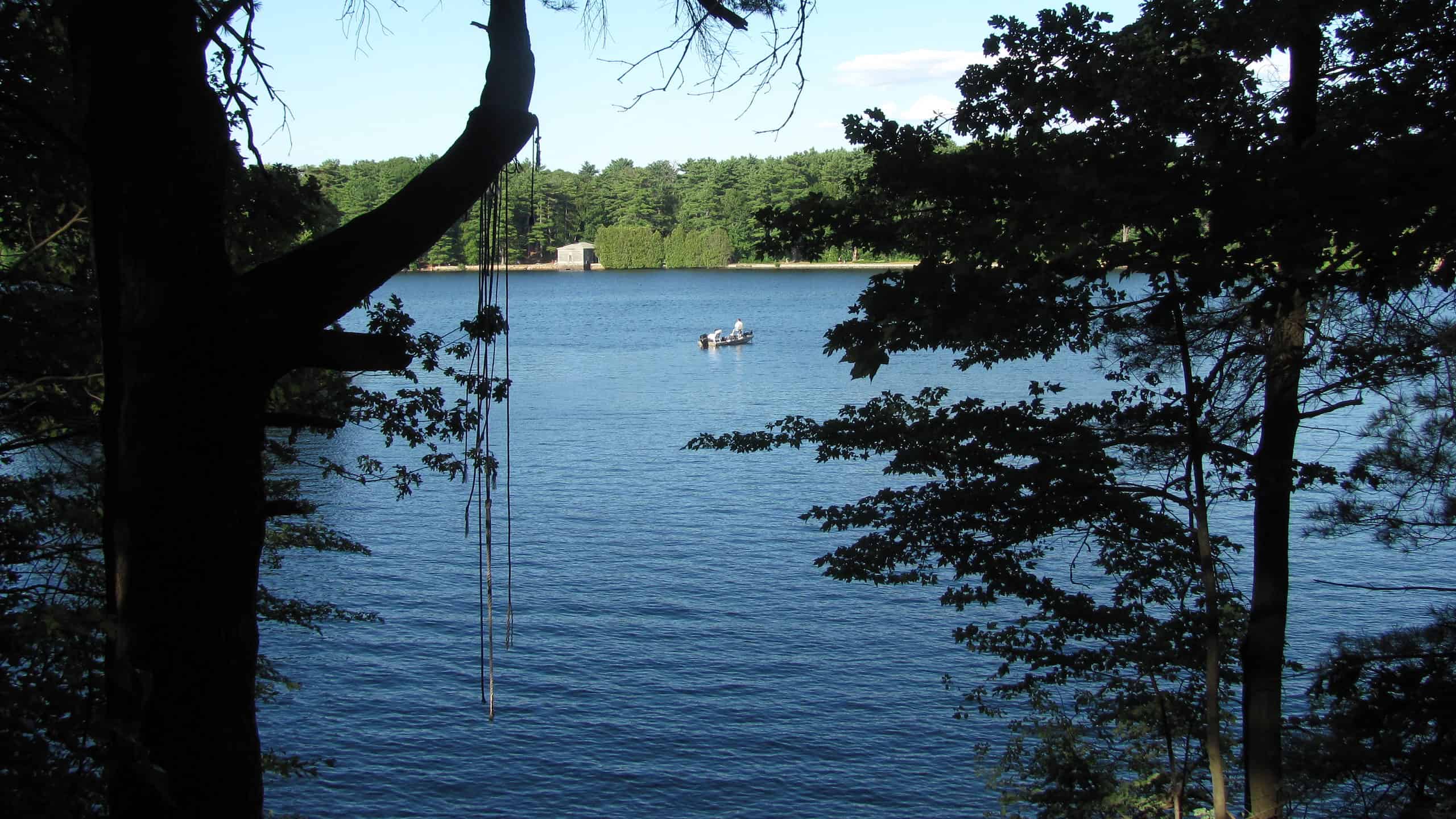 Le migliori piscine vicino a Boston