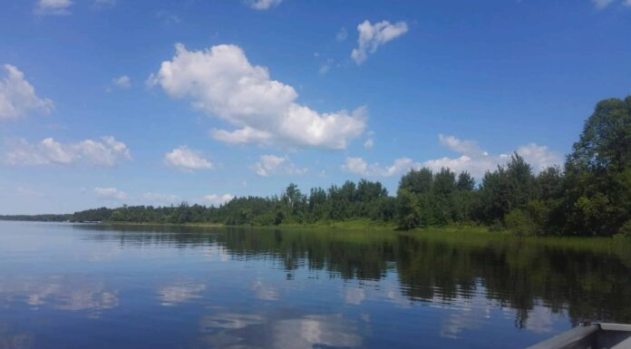 Scopri la temperatura più fredda mai registrata in Minnesota
