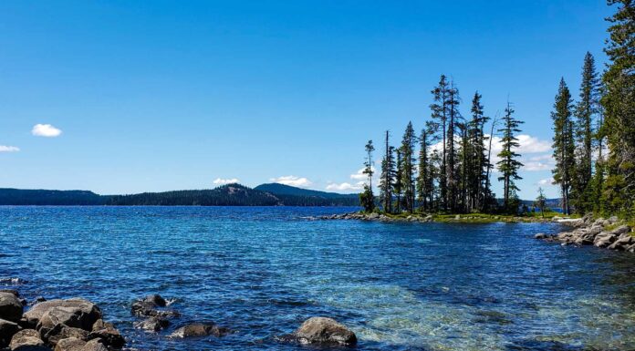 I migliori fori per nuotare in Oregon
