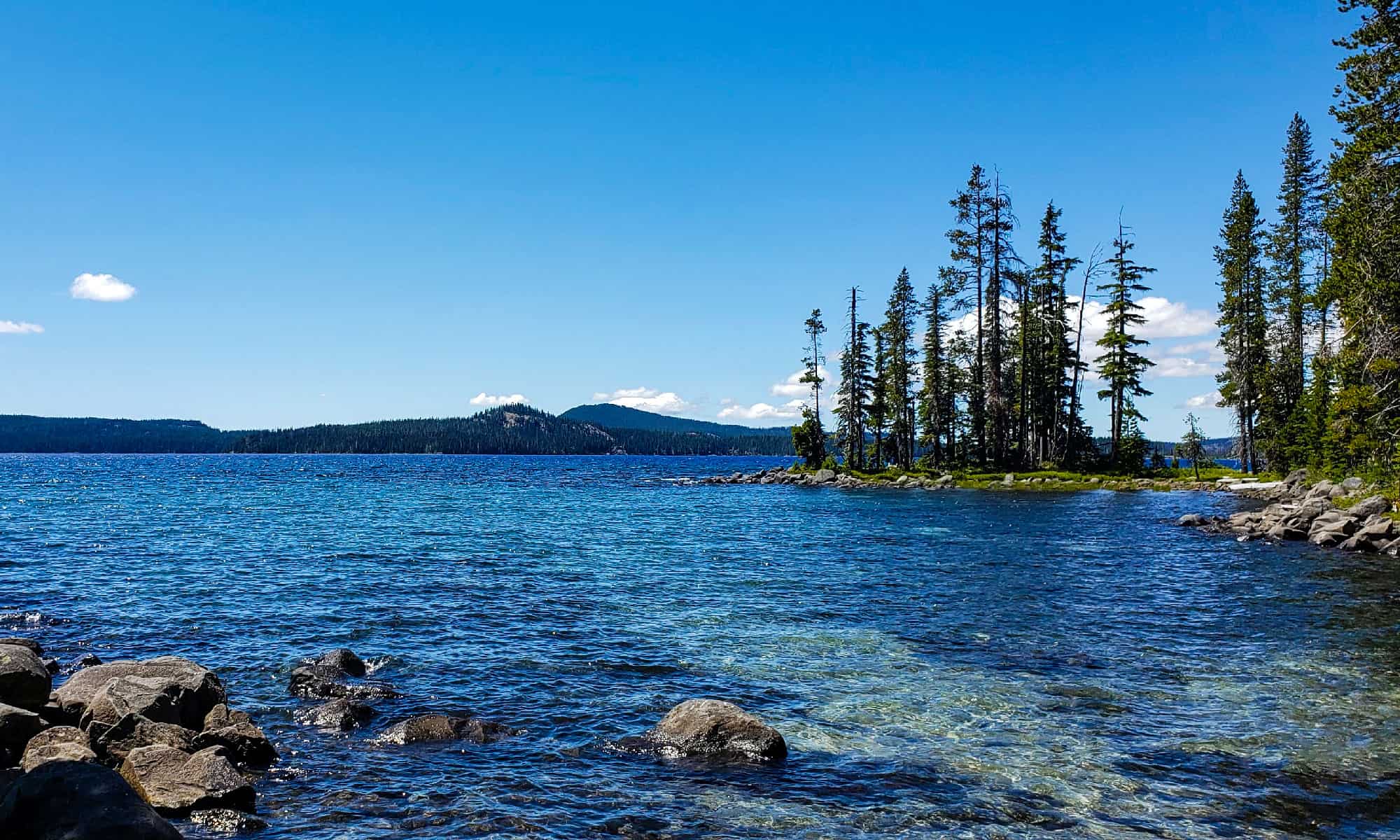 I migliori fori per nuotare in Oregon