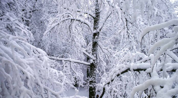 Scopri il posto più nevoso del Missouri
