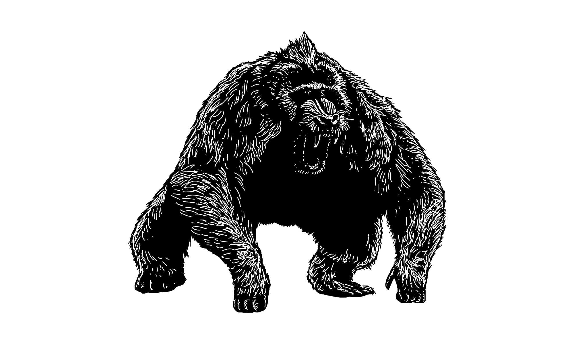 Scopri l'antica scimmia terribile che pesava più di 100 libbre