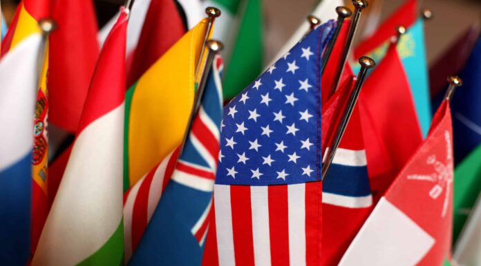 Diversi esempi di bandiere cantonali
