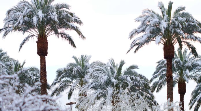 Scopri il luogo più freddo della Florida
