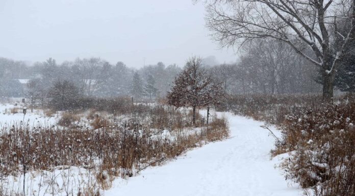 Scopri il luogo più freddo del Wisconsin 
