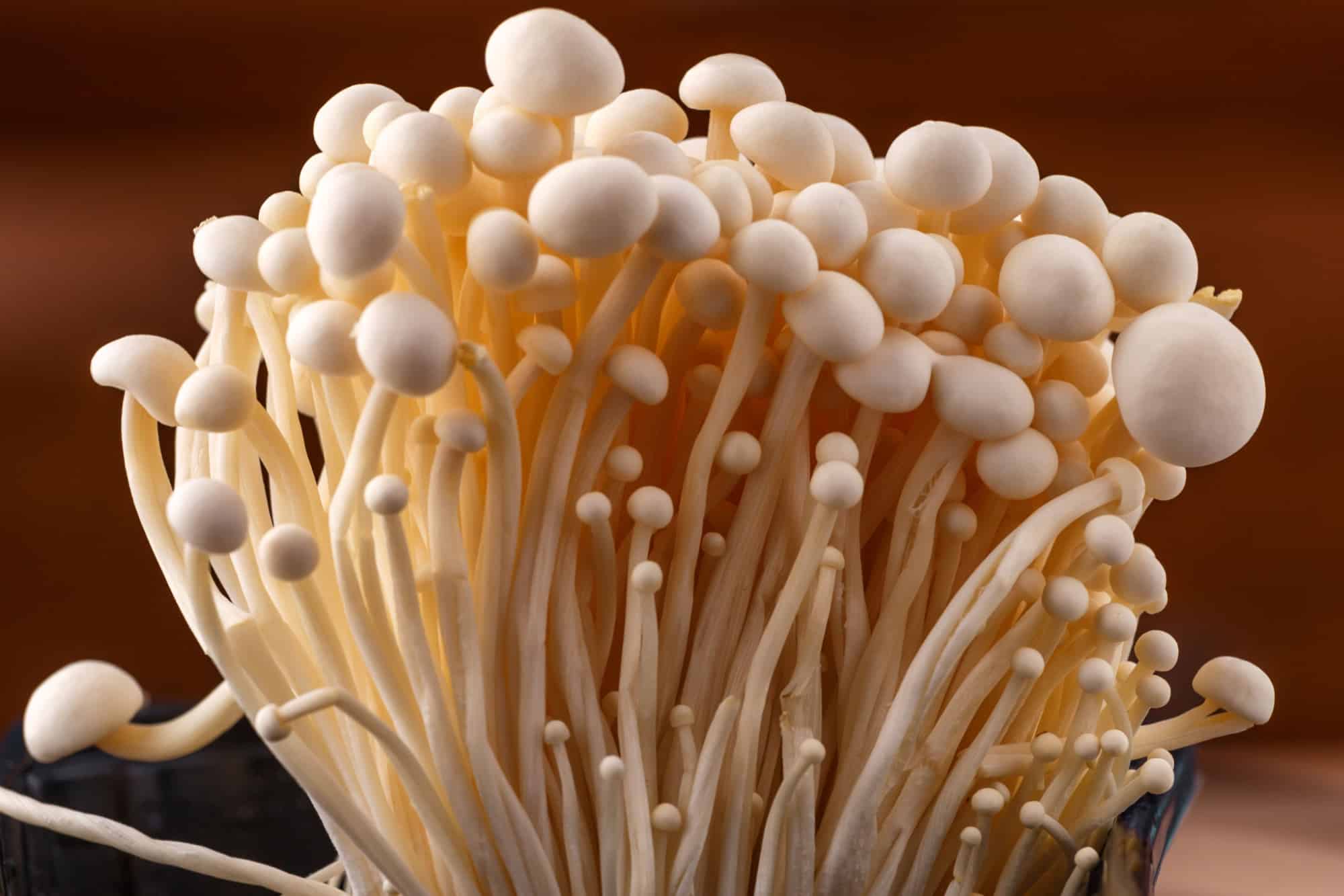 Funghi Enoki: una guida completa