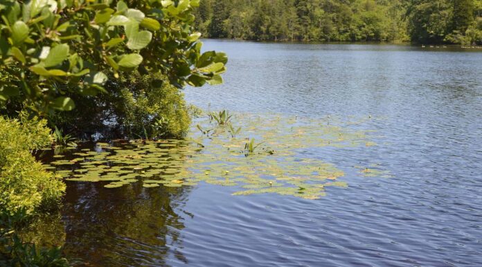 Le migliori buche per nuotare nel New Jersey

