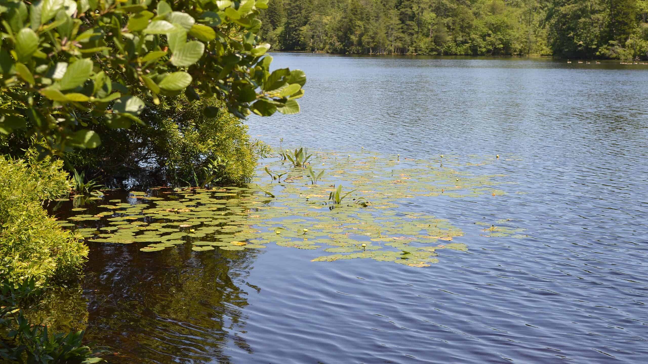 Le migliori buche per nuotare nel New Jersey