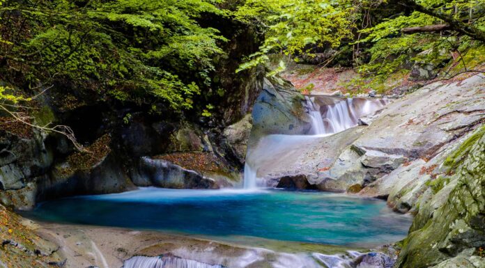 Le migliori piscine vicino a Charlotte
