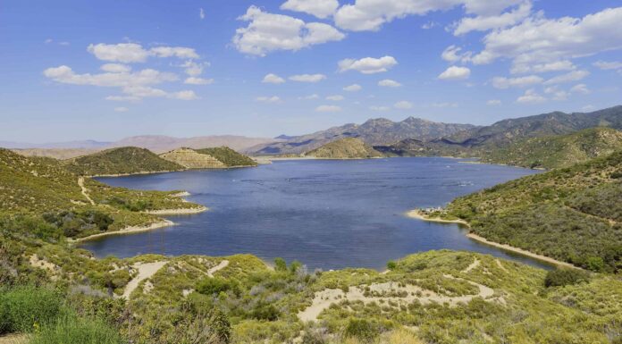 Le migliori piscine vicino a Los Angeles

