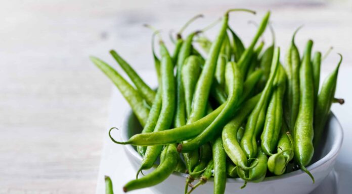 I cani possono mangiare i fagiolini?
