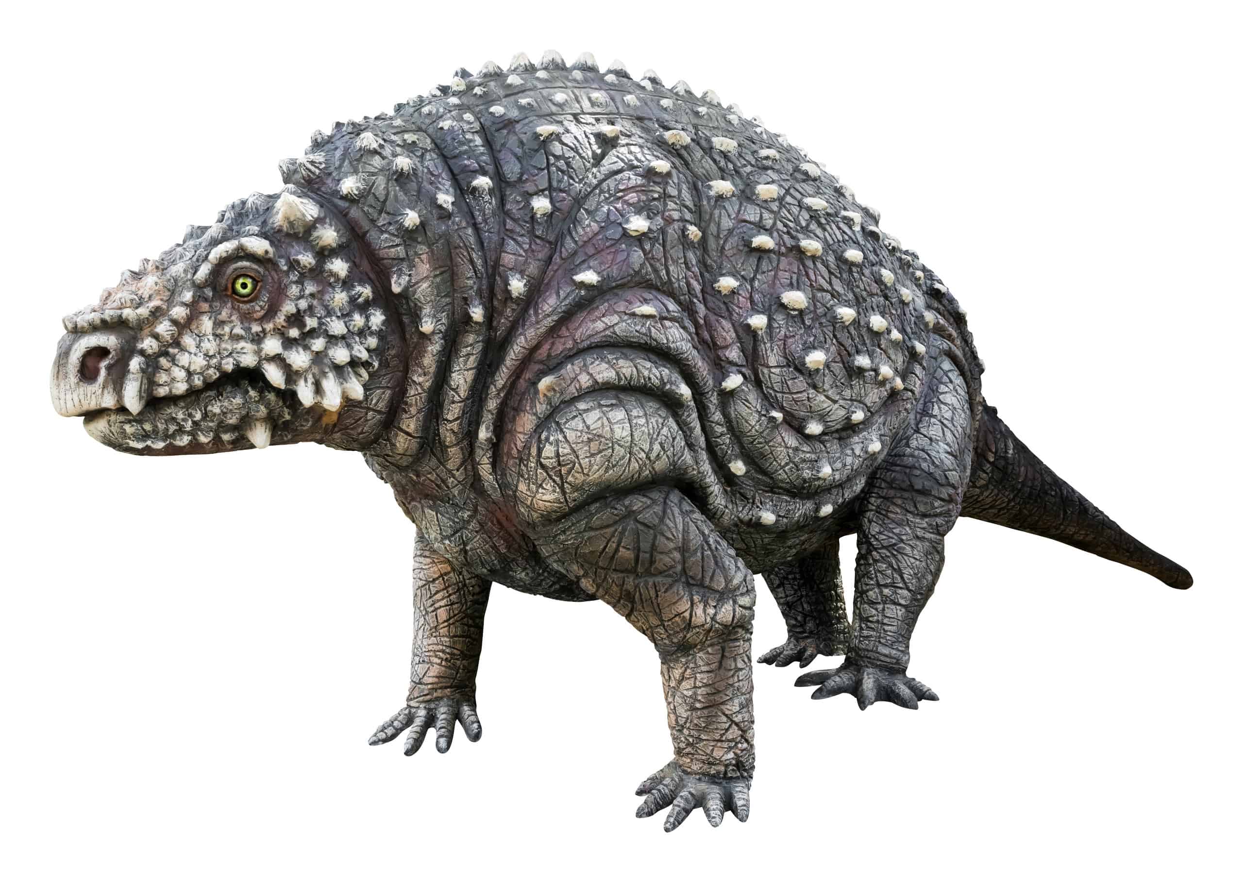 Questo gigantesco dinosauro corazzato sembrava il boss di un videogioco