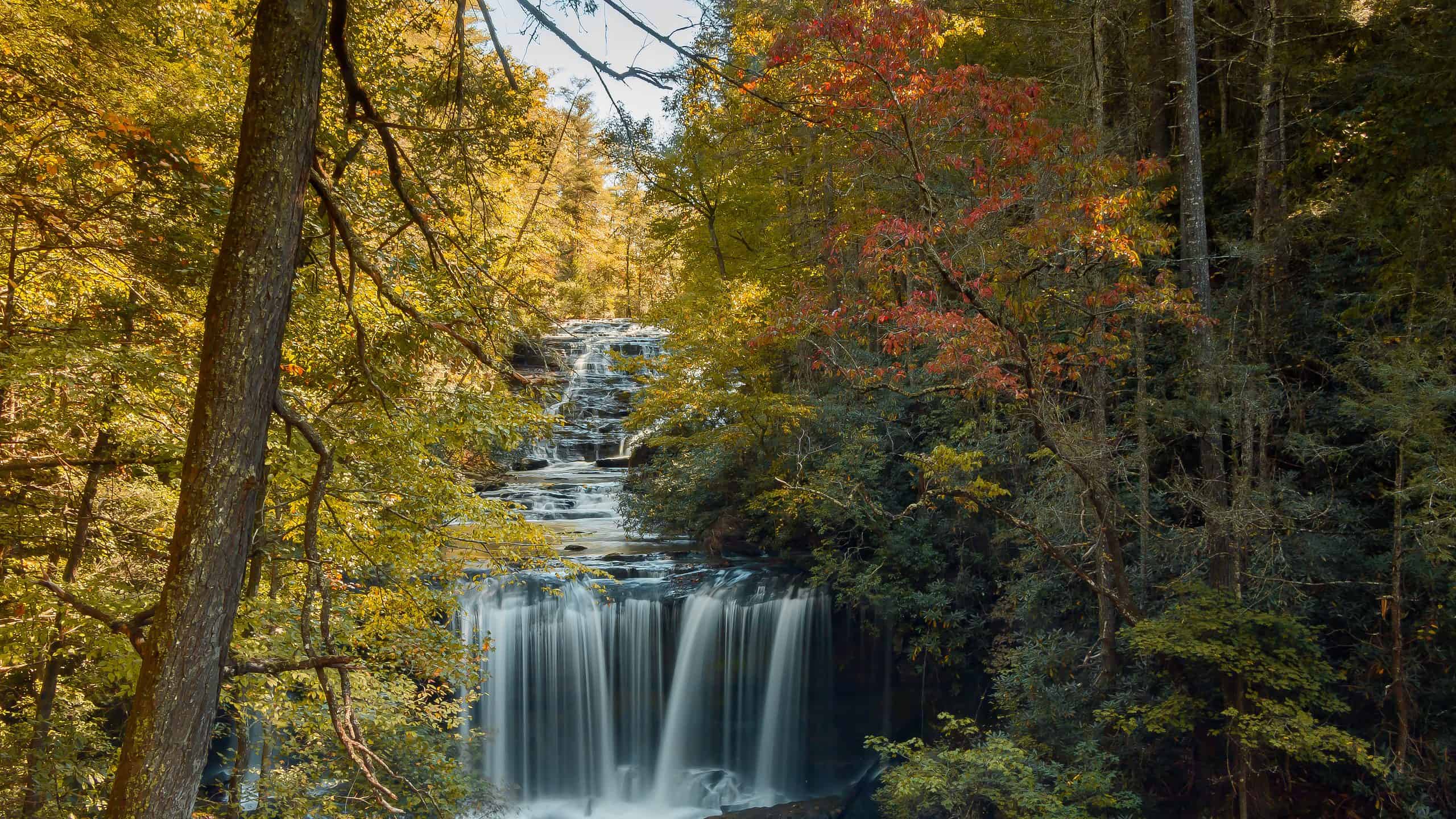 Scopri il luogo più freddo della Carolina del Sud