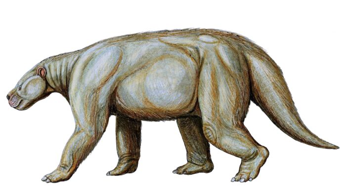 Incontra l'erbivoro da 1.400 libbre che sembrava un orso e una marmotta
